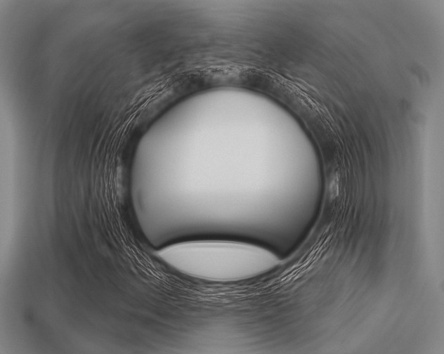 X0000113301156200909140939