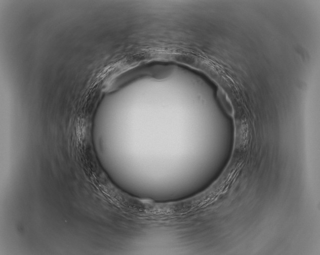 X0000113301157200909140939