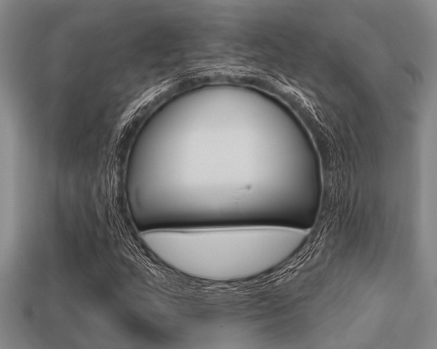 X0000113301159200909140939