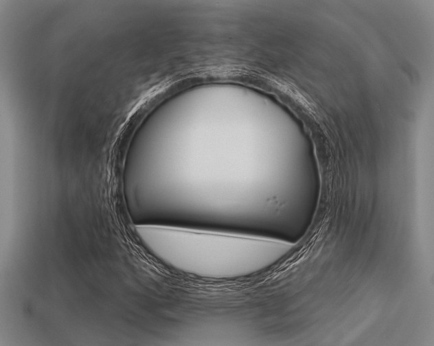 X0000113301160200909140939