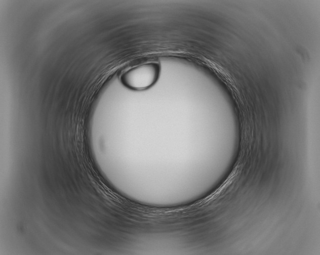X0000113301161200909140939