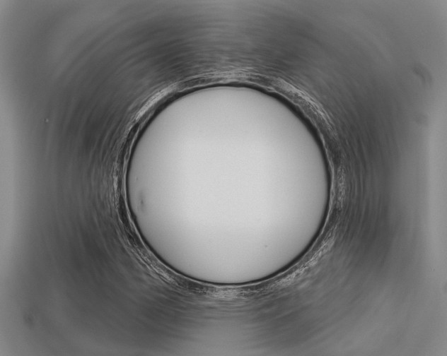 X0000113301162200909140939