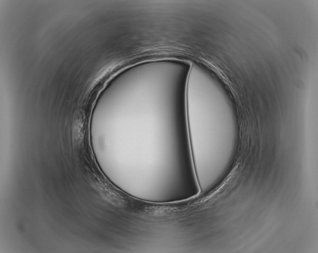 X0000113301163200909140939
