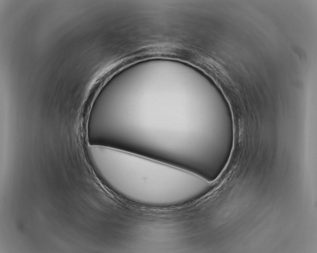 X0000113301164200909140939