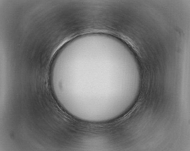 X0000113301165200909140939