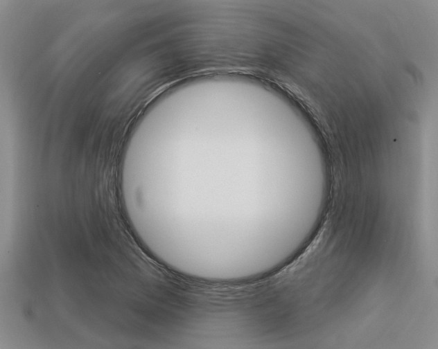 X0000113301169200909140939