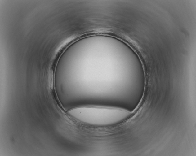 X0000113301171200909140939