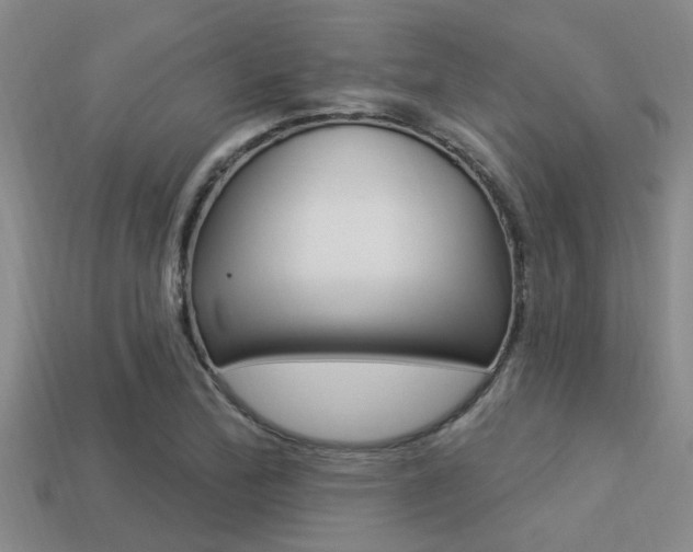X0000113301172200909140939