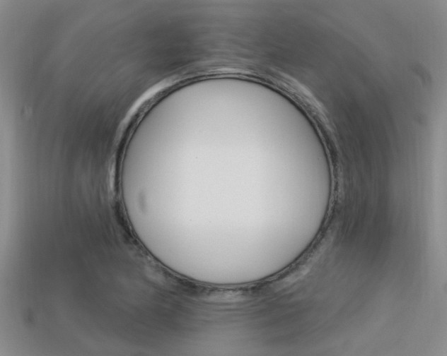 X0000113301174200909140939
