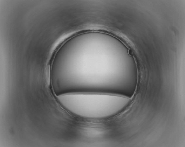 X0000113301175200909140939