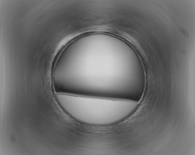 X0000113301176200909140939