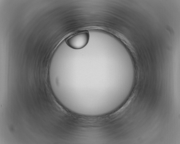 X0000113301177200909140939