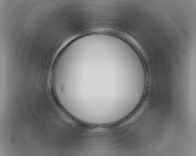 X0000113301178200909140939