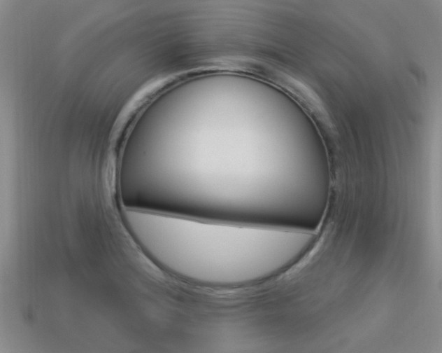 X0000113301180200909140939