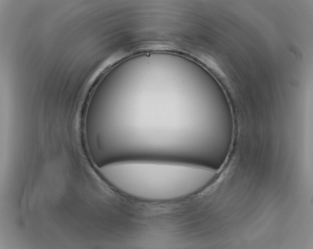 X0000113301181200909140939