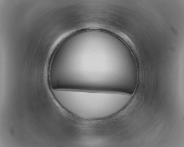 X0000113301183200909140939