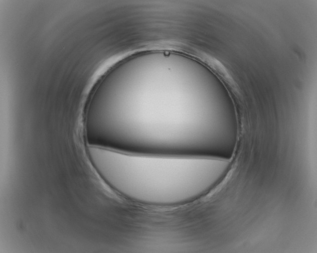 X0000113301184200909140939