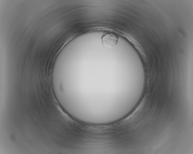 X0000113301185200909140939