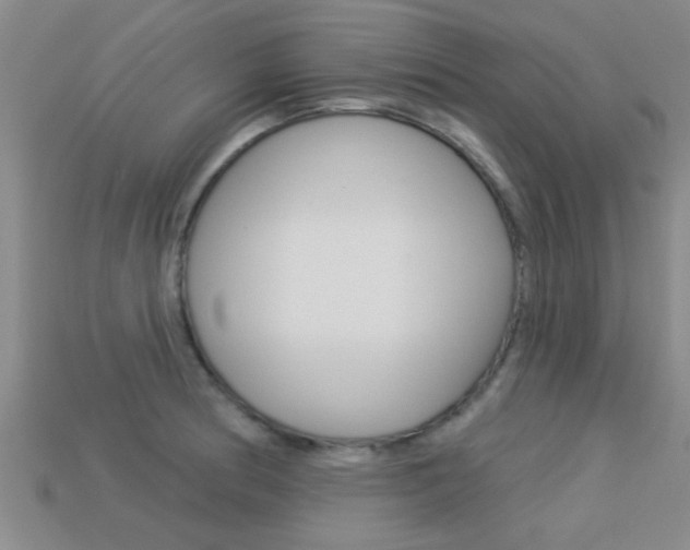 X0000113301186200909140939