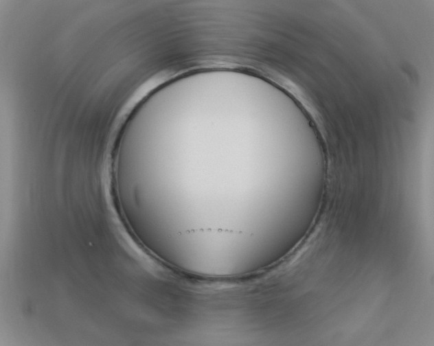 X0000113301187200909140939
