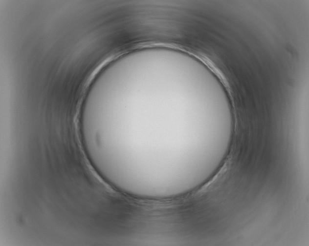 X0000113301189200909140939
