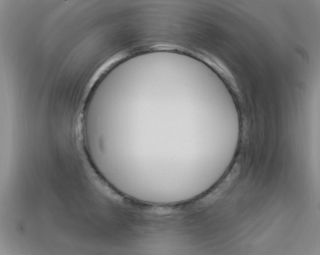 X0000113301190200909140939