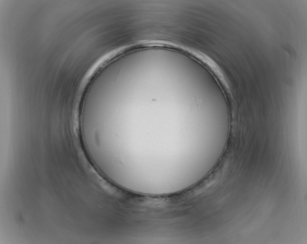 X0000113301191200909140939