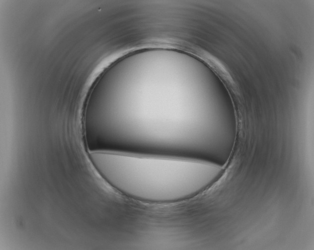X0000113301192200909140939
