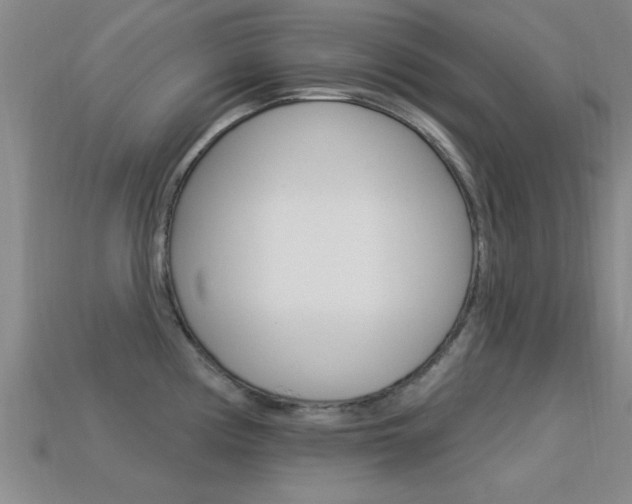 X0000113301194200909140939
