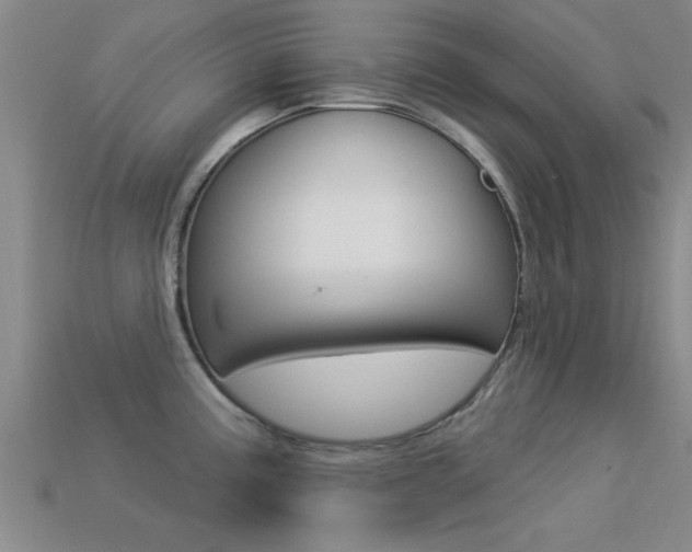 X0000113301195200909140939