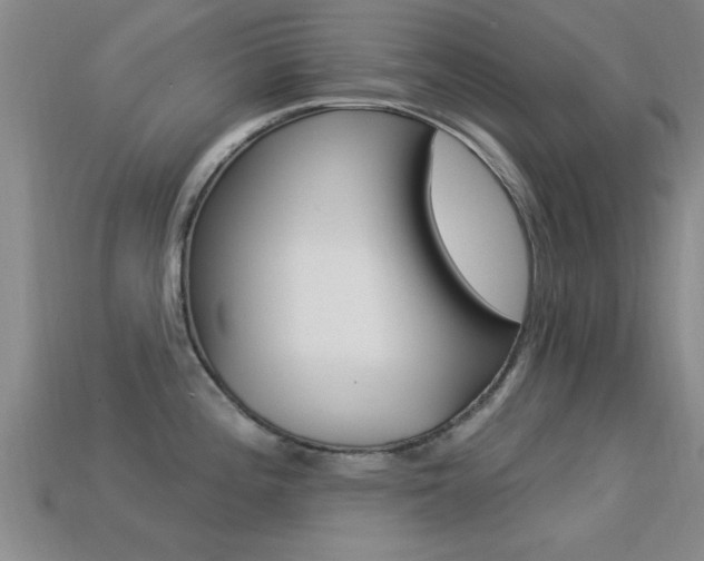 X0000113301196200909140939