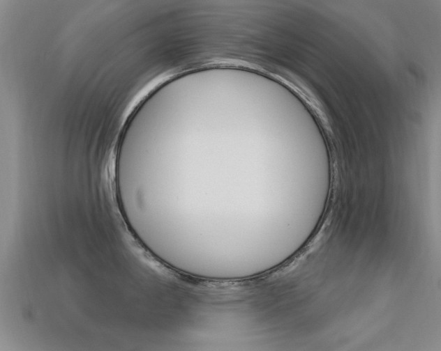 X0000113301198200909140939