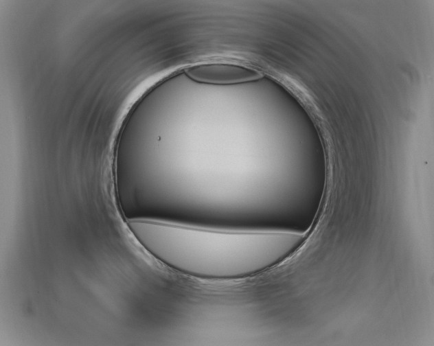 X0000113301200200909140939