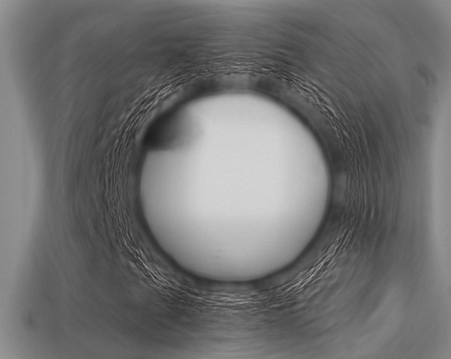 X0000113301201200909140938