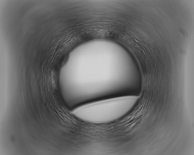 X0000113301202200909140938