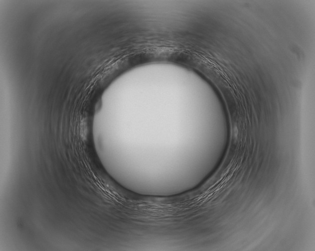 X0000113301204200909140938
