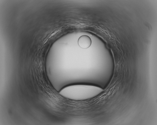 X0000113301205200909140938