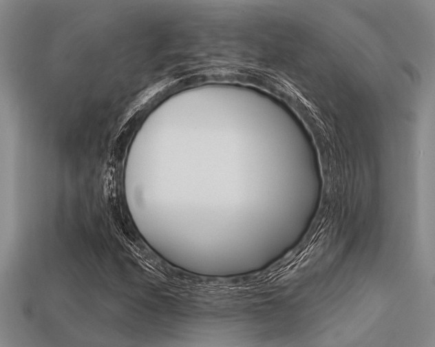 X0000113301208200909140938