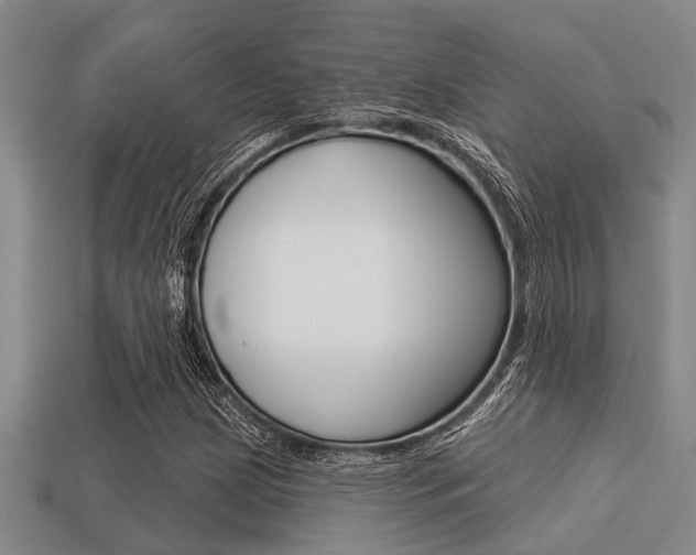 X0000113301209200909140938