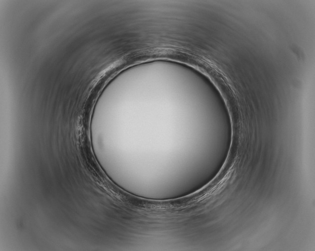 X0000113301210200909140938