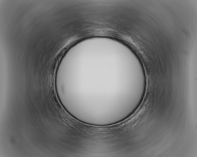 X0000113301211200909140938