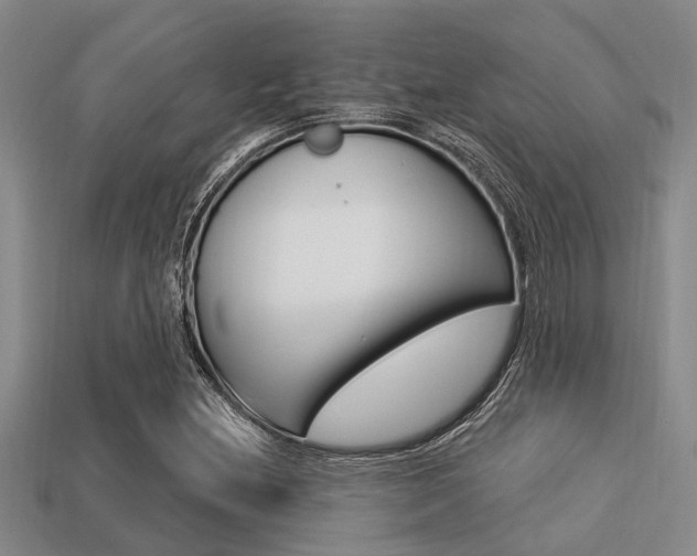 X0000113301212200909140938