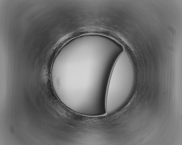 X0000113301213200909140938