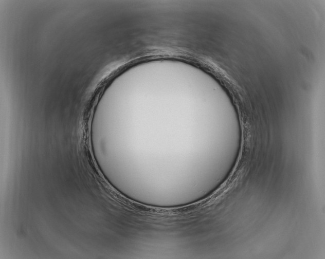 X0000113301215200909140938