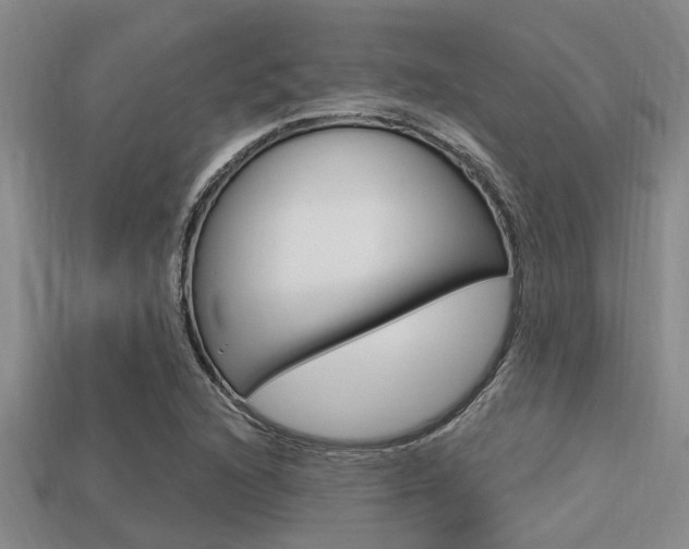 X0000113301216200909140938