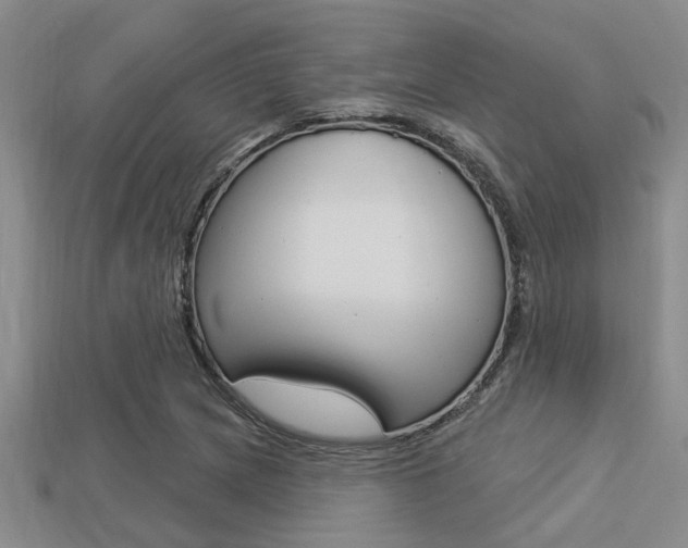 X0000113301217200909140938
