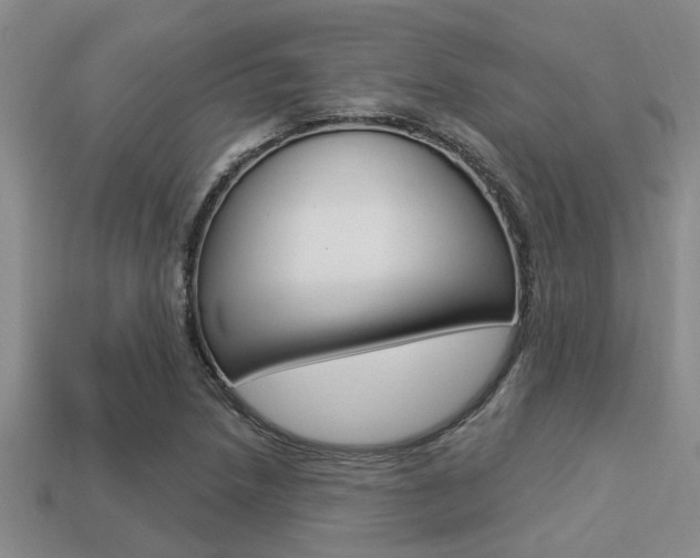 X0000113301218200909140938