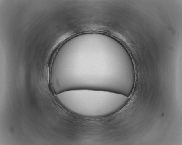X0000113301219200909140938