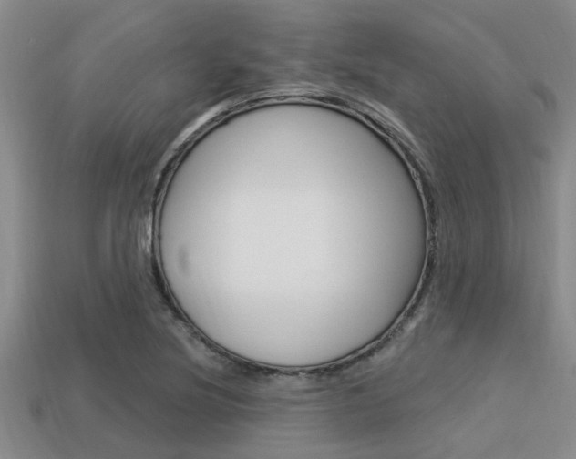 X0000113301220200909140938