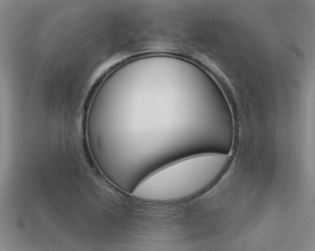 X0000113301222200909140938